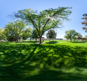 Soccer Field image 3