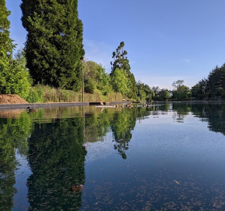 Soccer Field image 3