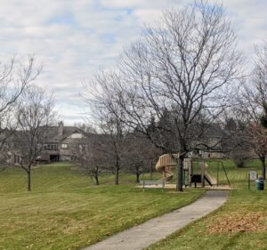 Soccer Field image 2