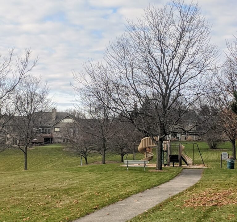 Soccer Field image 2