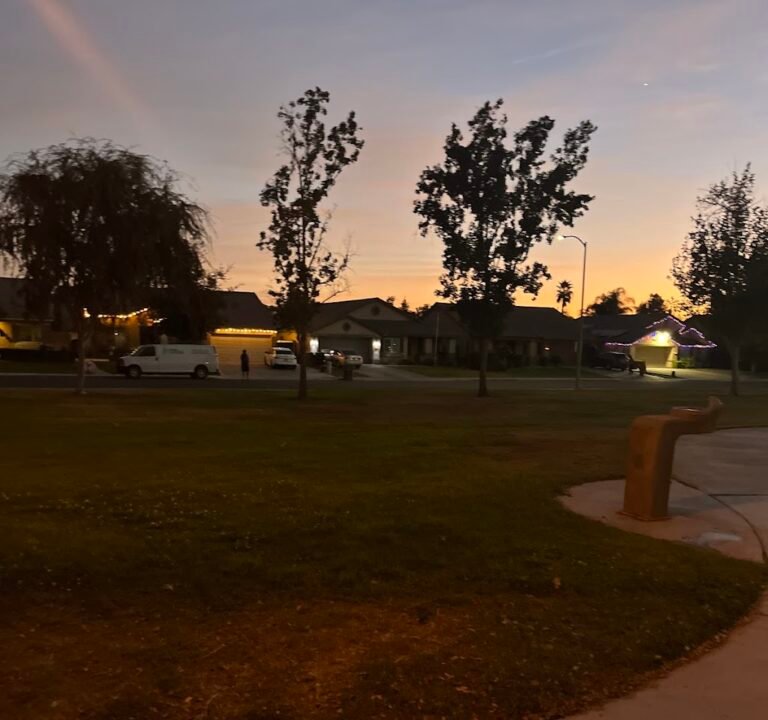 Soccer Field image 3