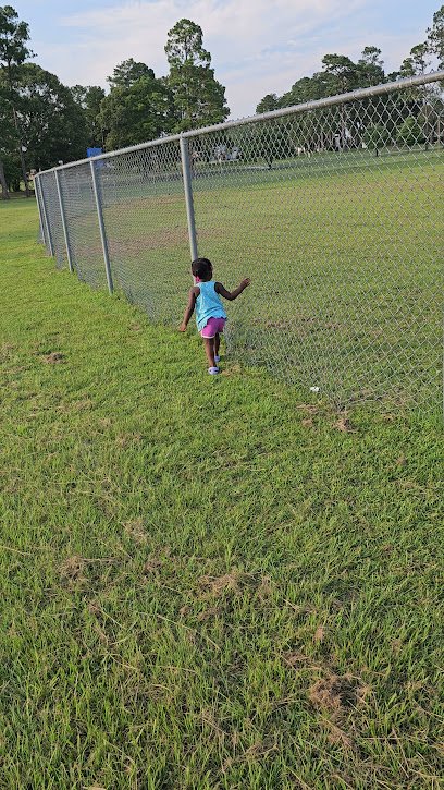 Soccer Field image 1