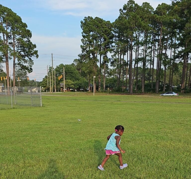 Soccer Field image 3