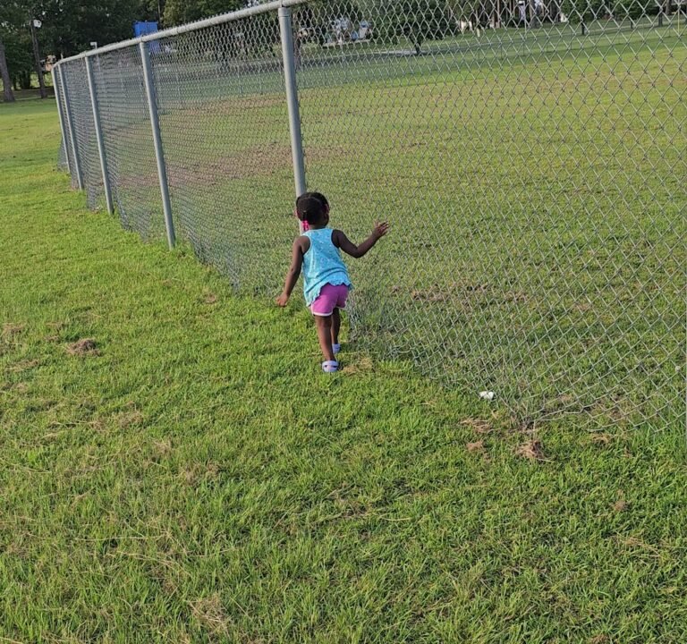 Soccer Field image 2