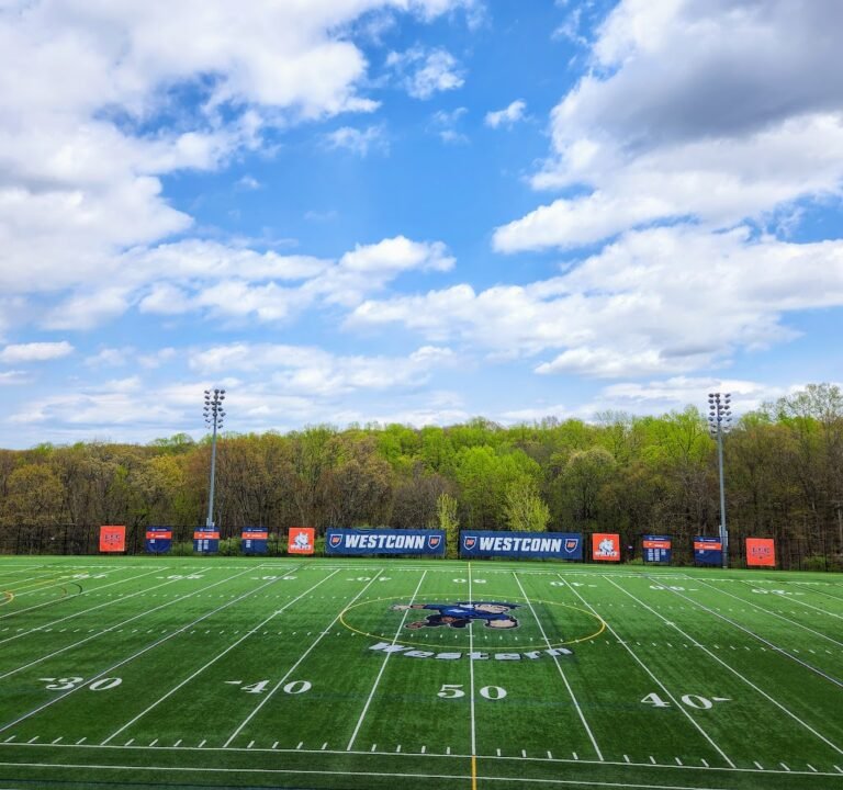 Soccer Field image 2