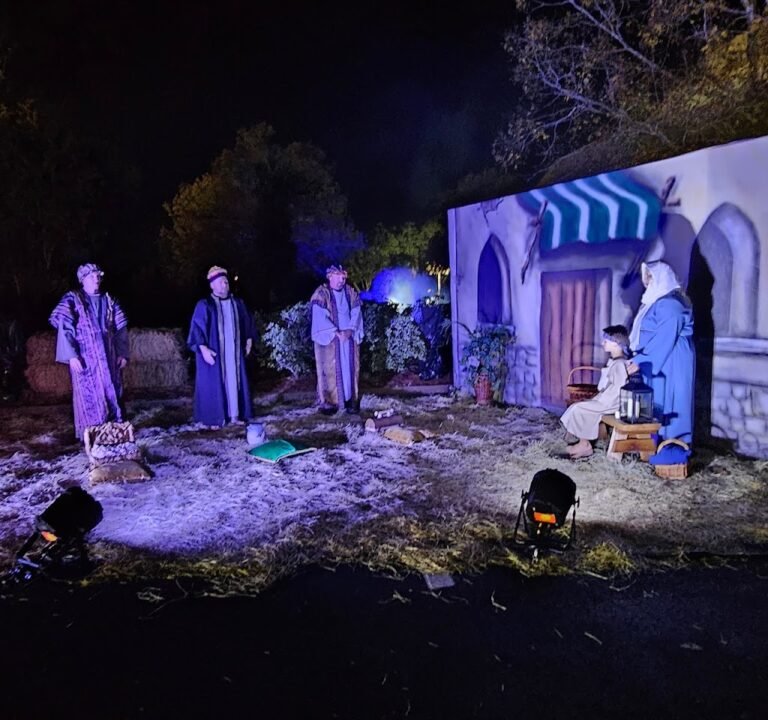 Soccer Field image 2