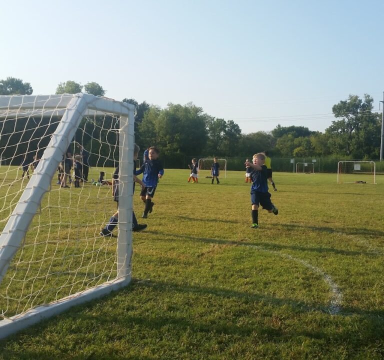 Soccer Field image 2