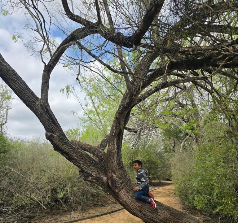 Soccer Field image 3