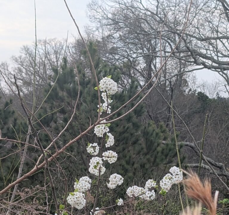 Soccer Field image 3