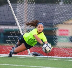 Soccer Field image 3