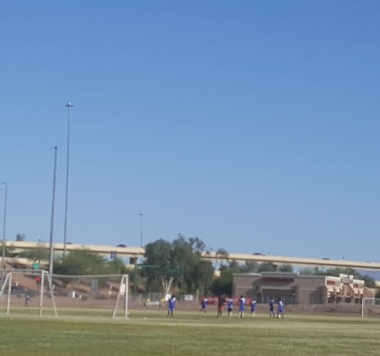 Soccer Field image 3