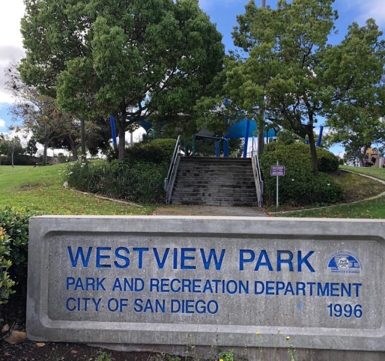 Soccer Field image 2