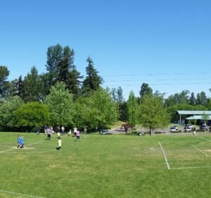Soccer Field image 2