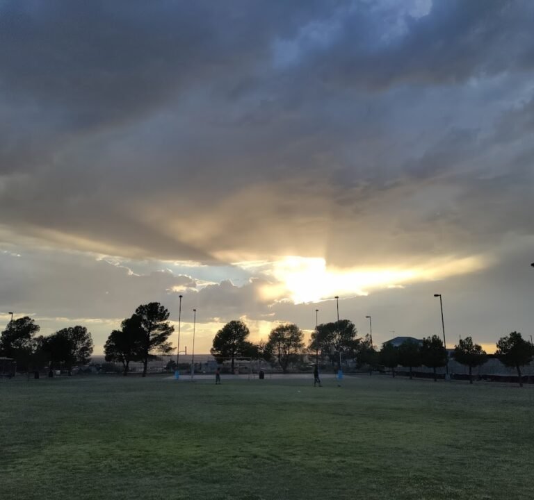 Soccer Field image 2