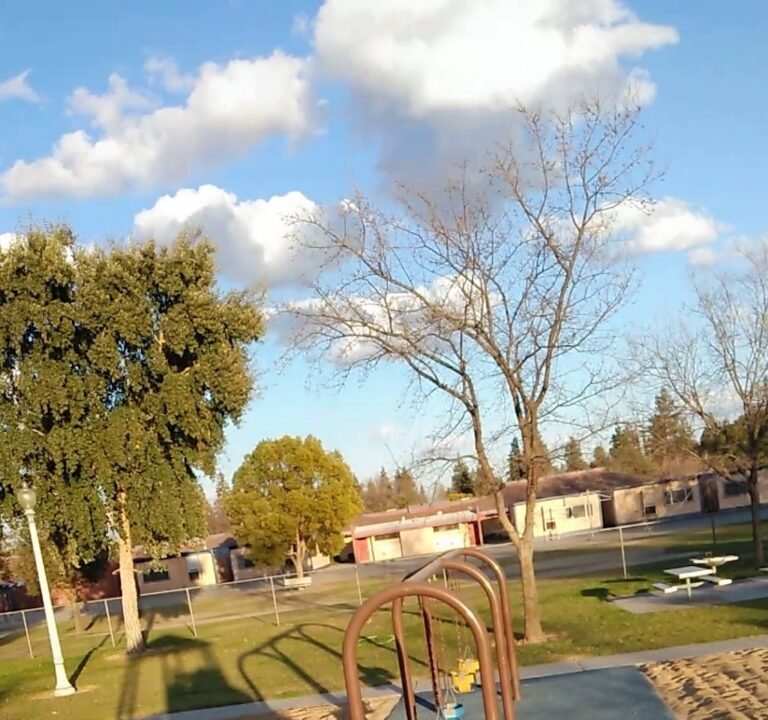 Soccer Field image 4