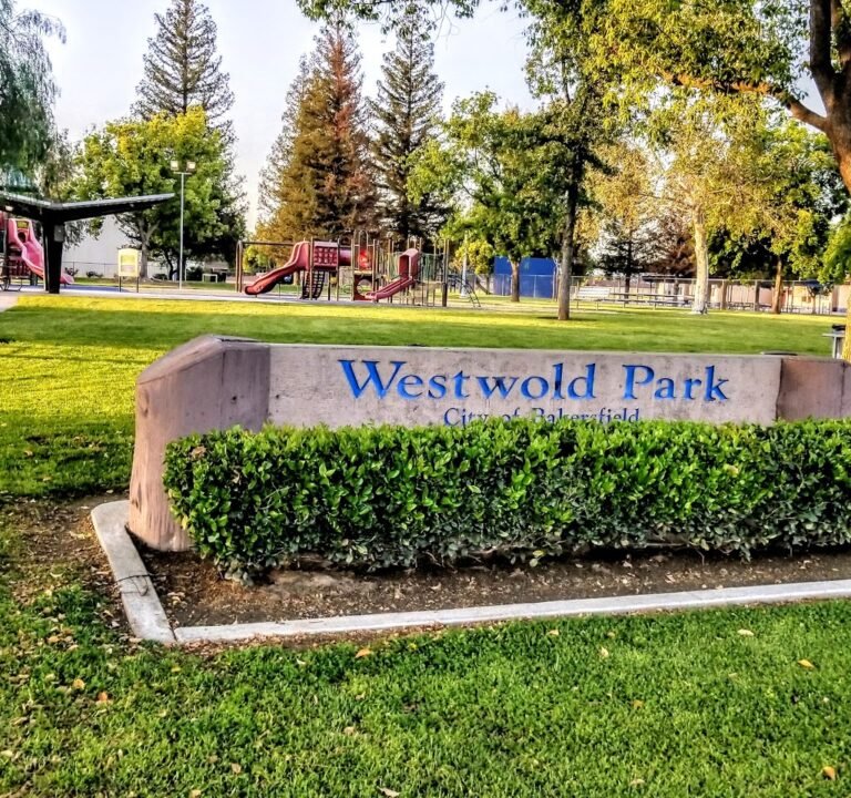 Soccer Field image 2