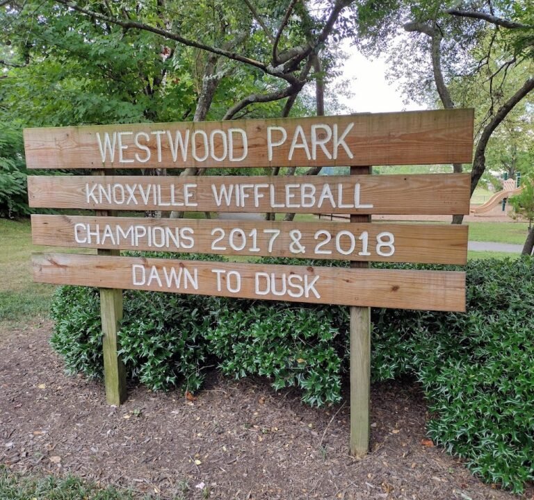 Soccer Field image 2