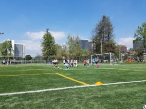 Soccer Field image 1