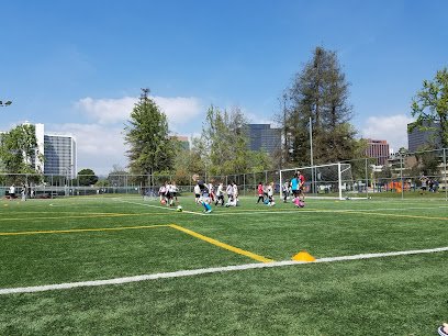 Soccer Field image 1