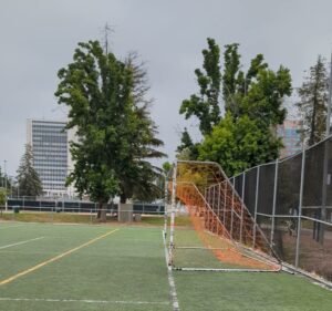 Soccer Field image 4