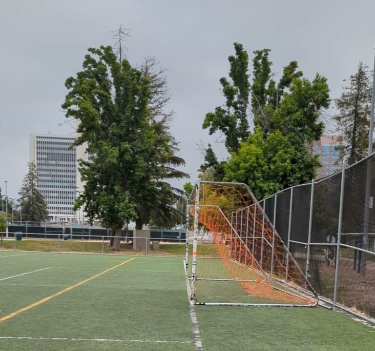 Soccer Field image 4