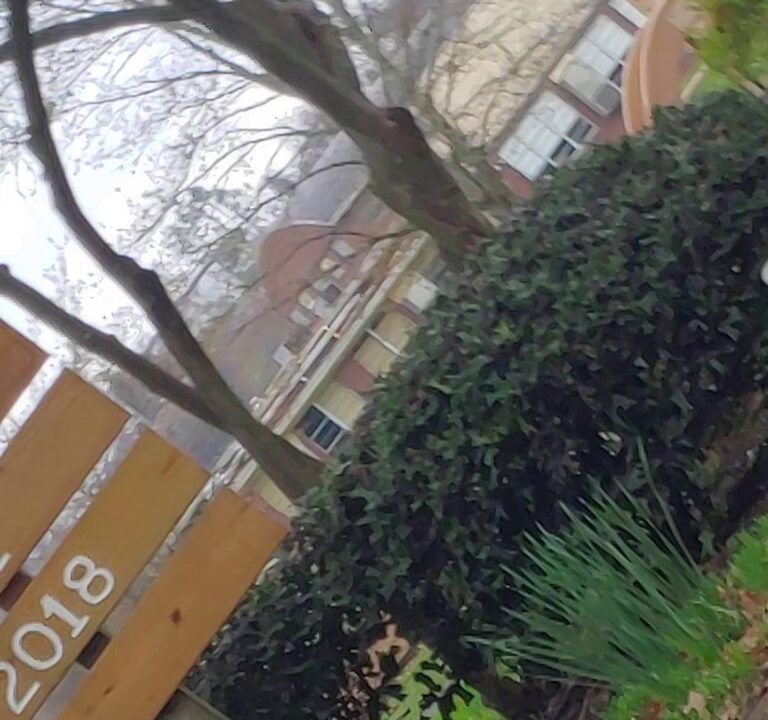 Soccer Field image 3