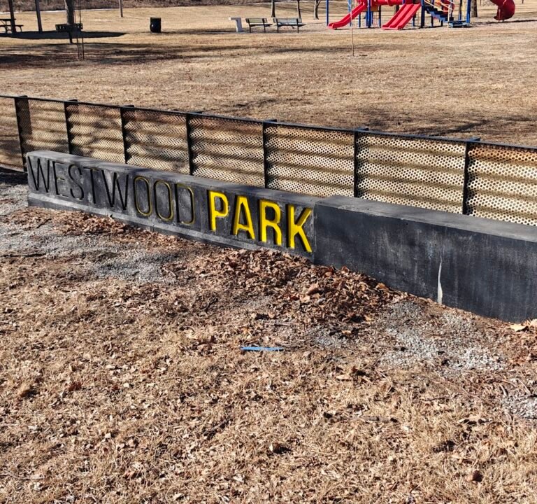 Soccer Field image 2