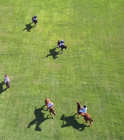 Soccer Field image 1