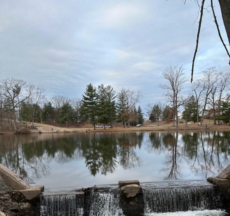 Soccer Field image 2