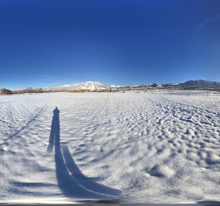 Soccer Field image 3