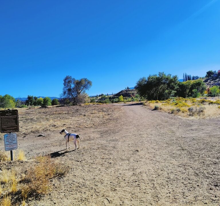 Soccer Field image 2