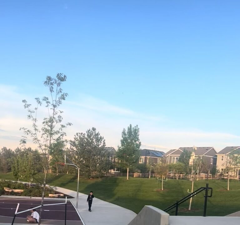 Soccer Field image 4