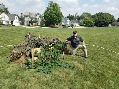 Soccer Field image 1