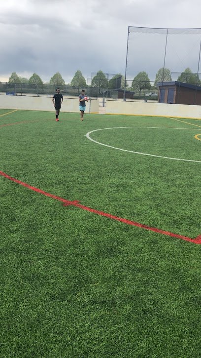 Soccer Field image 1