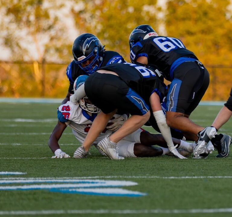 Soccer Field image 2