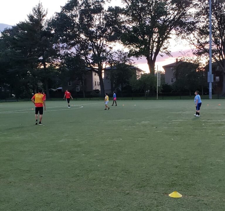 Soccer Field image 4