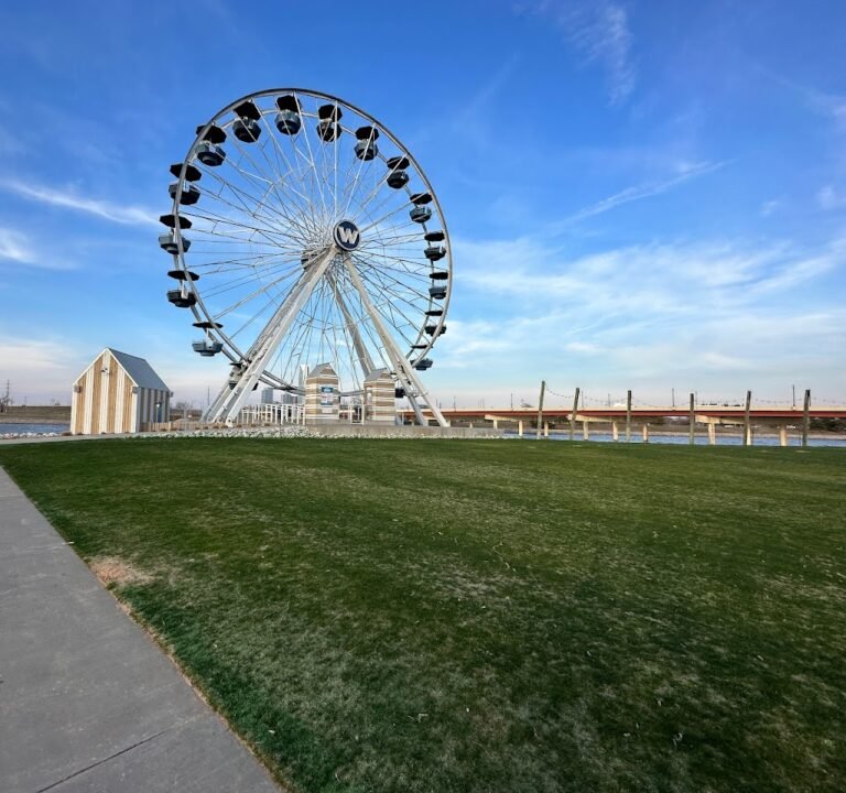 Soccer Field image 2