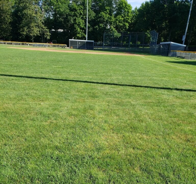 Soccer Field image 2