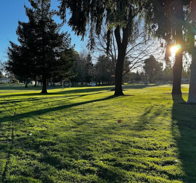 Soccer Field image 2