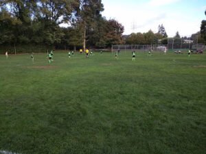 Soccer Field image 1