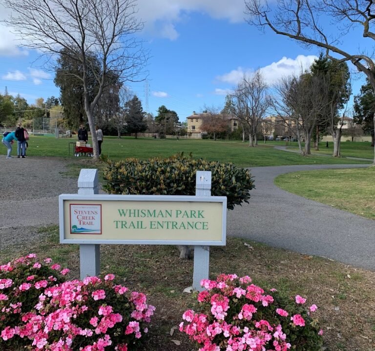 Soccer Field image 3