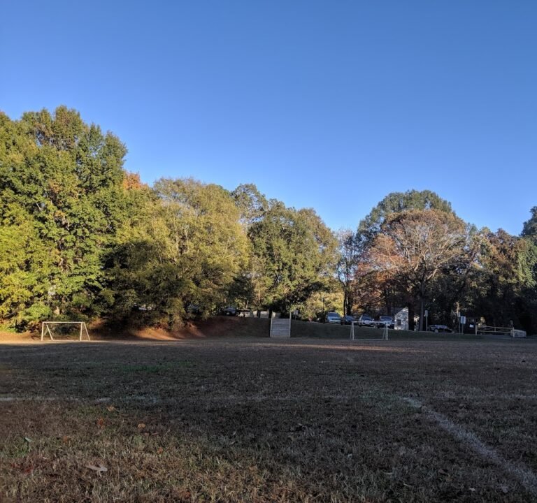 Soccer Field image 2