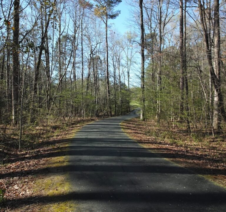Soccer Field image 2
