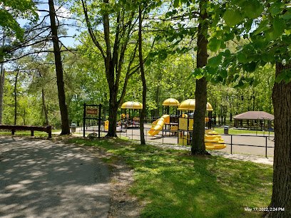 Soccer Field image 1