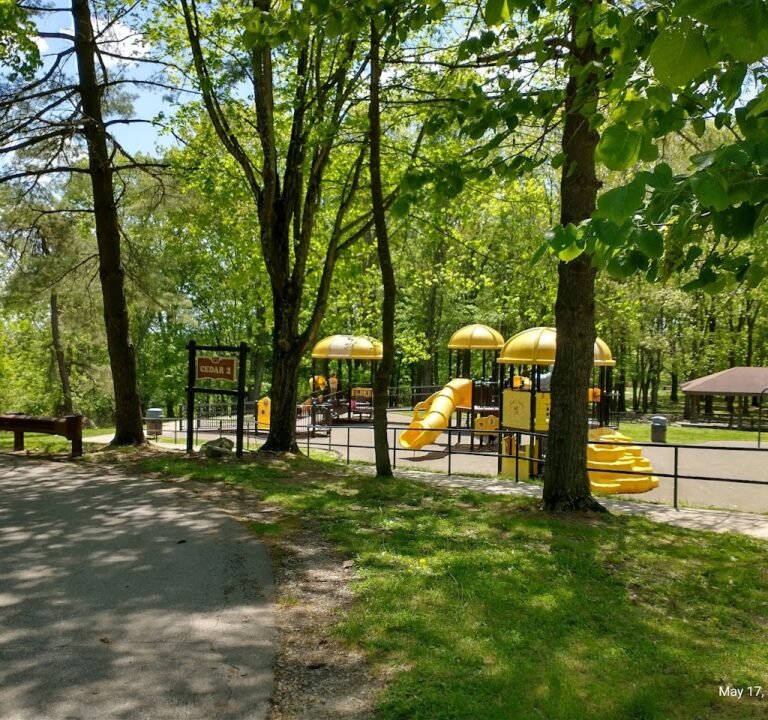 Soccer Field image 2