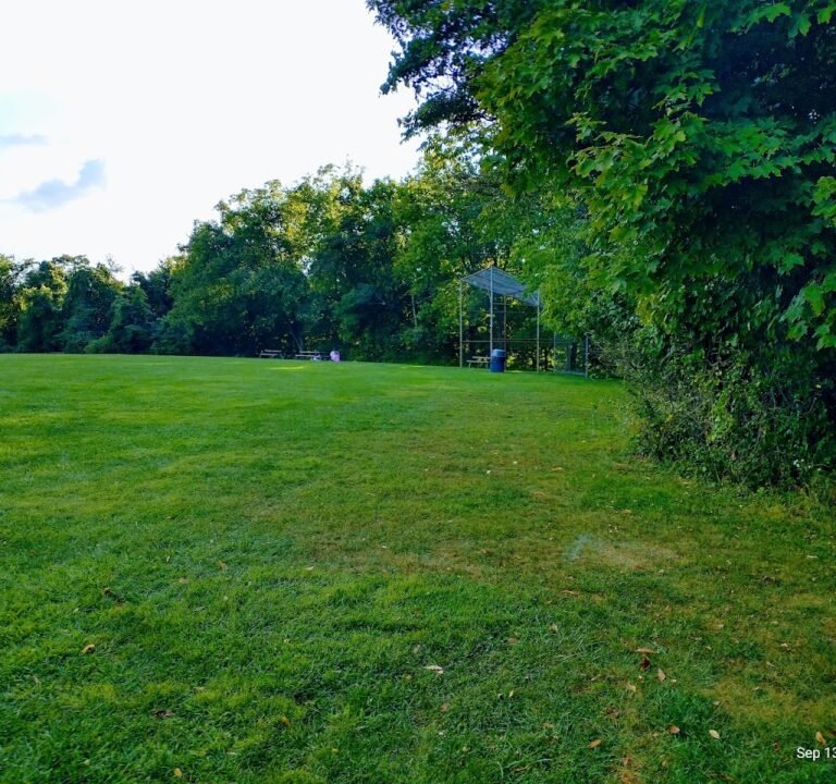 Soccer Field image 2
