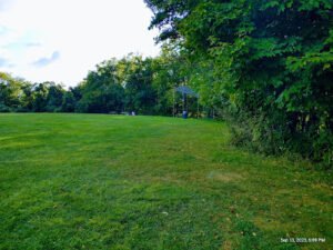 Soccer Field image 1