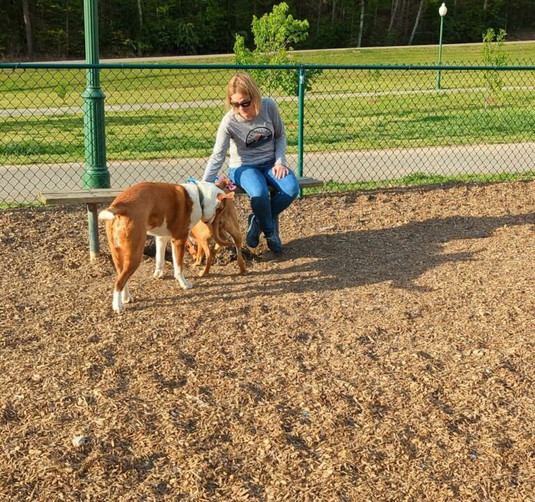Soccer Field image 4