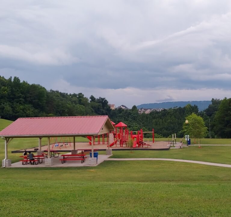 Soccer Field image 2