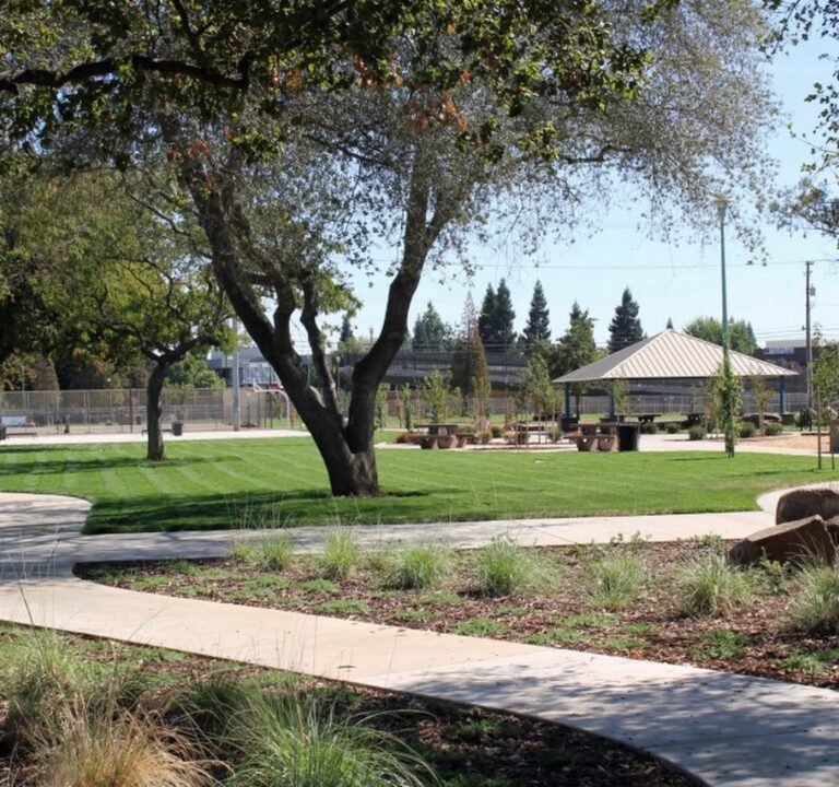 Soccer Field image 3